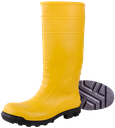 Remisberg Wiesmoor Sicherheitsstiefel S5